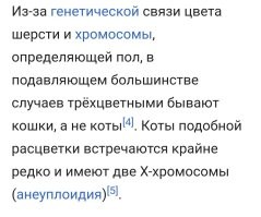 Может и проверил.