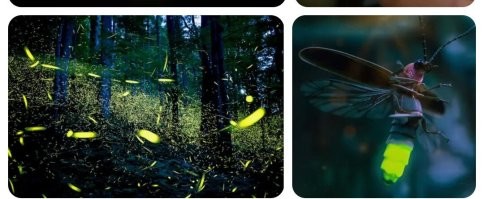 25 свеженьких фактов из серии «Сегодня я узнал»