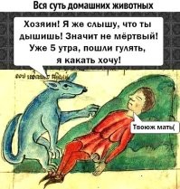 Мемы из Страдающего Средневековья, актуальные как никогда