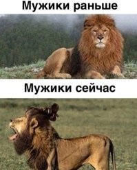 В принципе он прав, я поддерживаю! (хотя в видео он с сумками "облажался") Очень много стало "мужиков" которые выглядят по <span style='color:gray'>[мат]</span>, но они этого не понимают, и думают что это и есть норма жизни для мужика! В основном они и минусуют тех, кто думает по другому!