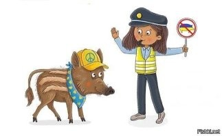 В России начали выпускать абсолютно новые дизельные моторы: 6 цилиндров, 360 л.с. и ресурс 1 млн километров