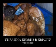 "У него острый ум". В Белом доме не сомневаются в умственных способностях Байдена