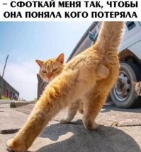 Обо&nbsp;все&nbsp;и&nbsp;ни&nbsp;о&nbsp;чем, но&nbsp;с&nbsp;улыбкой - 3
