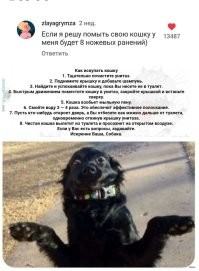 Тот самый пост о грустном юморе в понедельник
