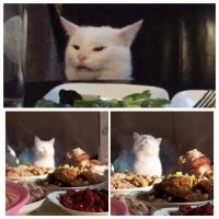 Есть два вида посетителей ресторана: