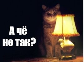 12-летний мальчик спас от смерти уже 5 тысяч собак