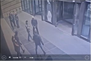 на камерах передача "в мире животных" на крупном плане отпрыск (в плохом смысле слова) незаменимого специалиста из кишлака и его подружка в черной куртке.