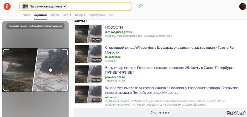 Я вот тоже юмора не понял.
Какая Флорида, если поиск-Яндекс по картинке выдаёт это: