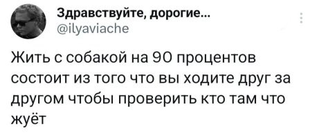 Скрины из соцсетей&nbsp;