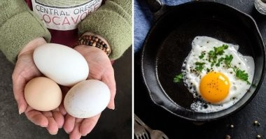 А не пошли бы нахрен эти медики с яичницей из одного яйца