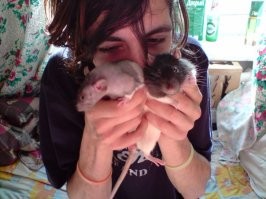 Вот мои Кварк и Малыш , эта фотка далёкого 2009 года , больше не заводил , и да они очень умные , слишком сильно переживаешь расставание .