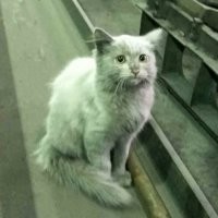 Скрины из соцсетей&nbsp;