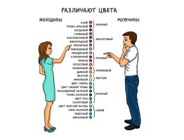 Простые объяснения всего на свете в картинках