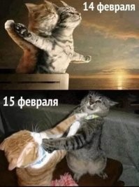 Мемы из соцсетей. Свежак за 14 февраля