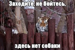 Скрины из соцсетей&nbsp;