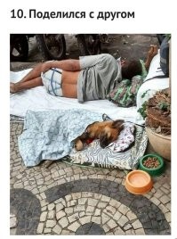 Собакен кожаному подушку отдал?