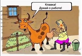 Скрины из соцсетей&nbsp;