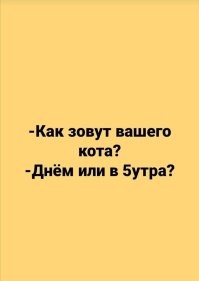 Котята не дают хозяину выспаться