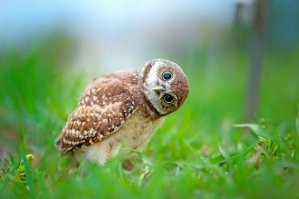 Футболист отдал свою фуболку скромному фанату