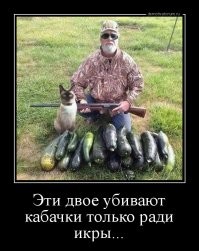 Скрины из соцсетей&nbsp;