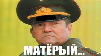 Котёнок не хочет делиться кормом