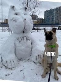 ФотоВсячина