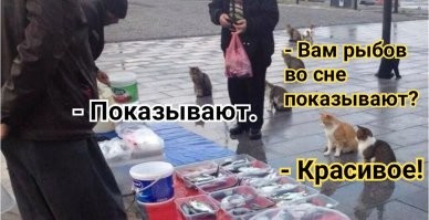 Рыбы во сне: толкование снов с рыбами