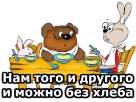 Белка забралась на балкон к москвичкам покушать, но выбраться обратно не смогла