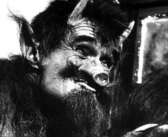 Субботний улыбатор