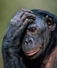 "Чтобы никогда не забыли": в Нижневартовске родители назвали сына Владимир-Путин