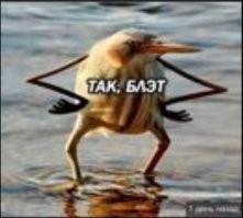 Я так и понял. При чём это именно ночью так. Видимо скучно кому-то.
Хочет самоутвердиться, а зло сорвать не на кого.
=-=-=
Аватарка ржачная