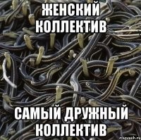 Девушки поделились названием своих чатиков - самоирония на высоте