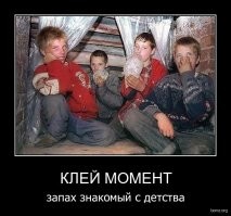 Два года тюрьмы за вьюнок на садовом участке