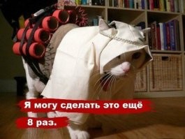 Многоразовый. Это получается ему не 99 а 891 кошку-девственницу надо?