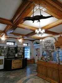 В аптеках крокодилы частая тема. Власьевская аптека в Ярославле. Пару дней назад фоткали.