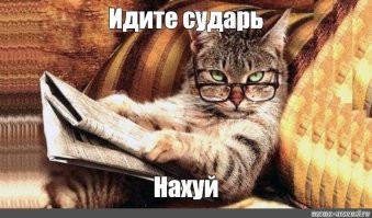 Мой кот, когда я ему предлагаю поиграть с лазерной указкой....