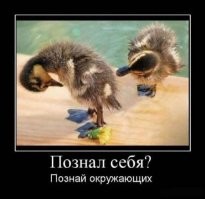 Всё вразнобой&nbsp;