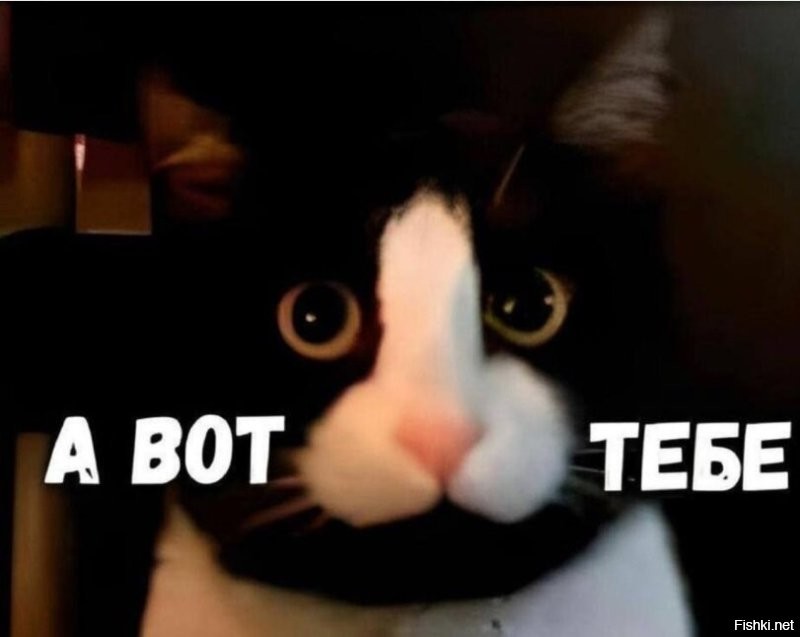 Мемы из соцсетей. Свежак за 17 февраля
