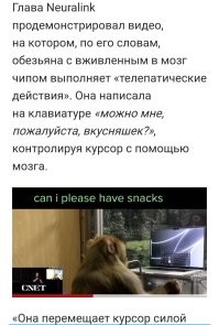 Чип от Илона Маска. Сначала на обезьяне тестировали. Потом коту достался, по блату.