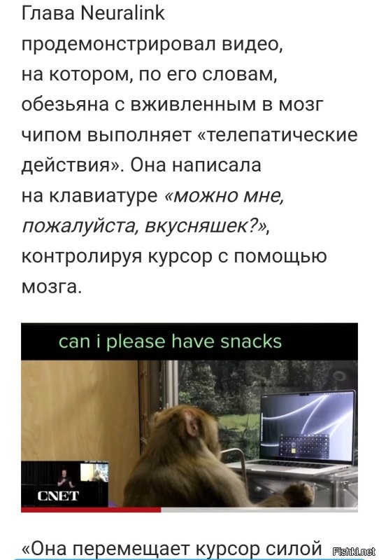 Чип от Илона Маска. Сначала на обезьяне тестировали. Потом коту достался, по блату.