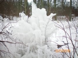 Ничего и не долго. Обратите внимание на даты(первая цифра-месяц). Это годы, когда зимы ещё были зимами и морозы были почти всю зиму за 10 градусов.  И вот однако всего через несколько дней после очень приличных морозов и обильного снегопада- бабочка. А сейчас то когда зима крутится около ноля уже три месяца и подавно недолго. Клещи так уже атакуют.