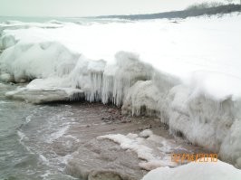 Ничего и не долго. Обратите внимание на даты(первая цифра-месяц). Это годы, когда зимы ещё были зимами и морозы были почти всю зиму за 10 градусов.  И вот однако всего через несколько дней после очень приличных морозов и обильного снегопада- бабочка. А сейчас то когда зима крутится около ноля уже три месяца и подавно недолго. Клещи так уже атакуют.
