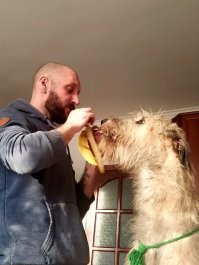 И очень любят бананы) 
Мой рост 1.87, а Шурян стоит на полу, просто шею вытянул. В холке почти метр.