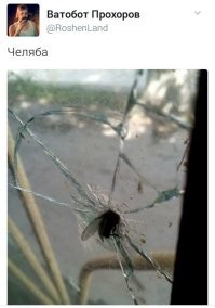 Муха - Челяба