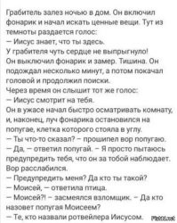 Скрины из соцсетей&nbsp;