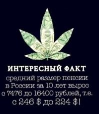 Слабонервным не смотреть: каталог продуктов с ценами 2014 года