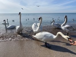 Расскажите им, что не так