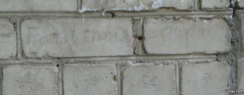 Эта надпись оставлена мной в 1967 г на стене нашего дома.