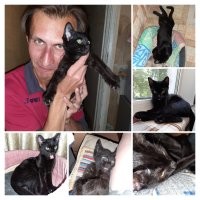 не сАжру, так исцарапаю же....