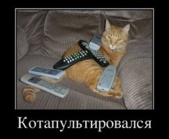 Демотиваторы дня: "Не надо печалиться…" 